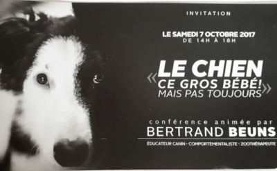 conference_bertrand_beuns